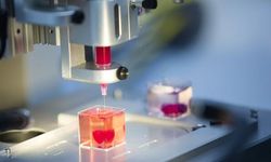 Bilim İnsanları 3D Canlı Organ Üretebilirler Mi?