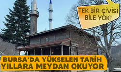 Tek bir çivisi olmadan yıllara meydan okuyor..