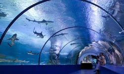 Antalya Aquarium