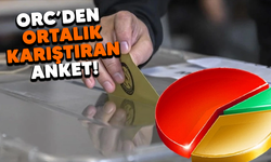 ORC'den ortalık karıştıran anket