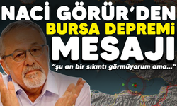 Naci Görür'den Bursa depremi mesajı: Şu an bir sıkıntı görmüyorum ama...