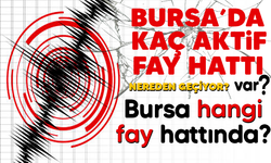 Bursa' da kaç aktif fay hattı var? Hangi fay hattında? Detaylar haberimizde..