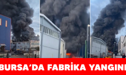 Bursa’da plastik toplama fabrikasında yangın