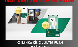 Troy Kart Sahiplerine Müjde! O Banka Çil Çil Altın Puan Dağıtıyor!