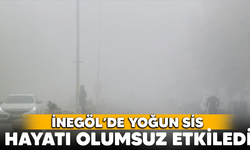 Yoğun sis hayatı olumsuz etkiledi