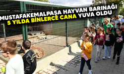 Mustafakemalpaşa hayvan barınağı 5 yılda binlerce cana yuva oldu