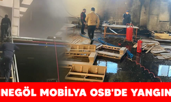 İnegöl Mobilya OSB'de yangın