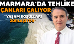 Marmara Denizi'nde su sıcaklığı 50 yılda 2,5 derece arttı.. Tehlike mi oluşuyor?