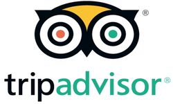 TripAdvisor cinsel saldırı dahil olmak üzere şiddet içeren olayların bildirildiği işletmeler için sayfaları işaretleyeck