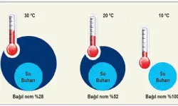 Bağıl Nem: Nedir, Mutlak Nem İle Farkları ve Hayata Etkisi
