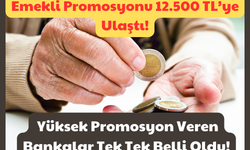 Emekli Promosyonu 12.500 TL’ye Ulaştı: Yüksek Promosyon Veren Bankalar Gündem Konusu Oldu!