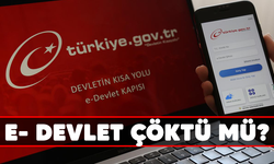 E- devlet çöktü mü?