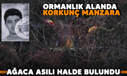 Ormanlık alanda korkunç manzara! Ağaca asılı halde bulundu