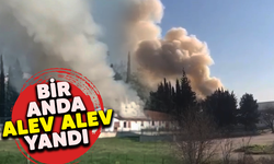 Bursa'da bir anda alev alev yandı