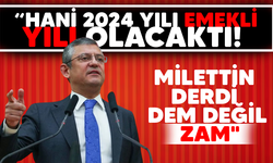 Özel “Hani 2024 yılı emekli yılı olacaktı! Milettin derdi dem değil, zam"