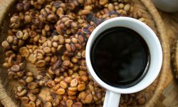 Dünyanın En Pahalı Kahvesi: Kopi Luwak ve Sırları