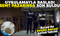 Uygulamayla başladı semt pazarında son buldu! Bursa'da kekikli bonzai polise takıldı