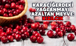 Karaciğerdeki yağlanmayı azaltan meyve: Kızılcık