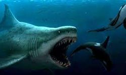 Dünyanın En Büyük Köpek Balığı: Megalodon