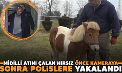 Bursa'da midilli atını çalan hırsız önce kameraya sonra polislere yakalandı
