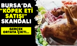 Bursa'da "Köpek eti satışı" skandalı! Gerçek ortaya çıktı/BURSA HABERLERİ