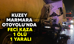 Kuzey Marmara Otoyolu'nda feci kaza: 1 ölü, 1 yaralı