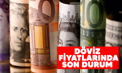 Döviz fiyatlarında son durum..