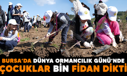 Bursa'da Dünya Ormancılık Günü’nde çocuklar bin fidan dikti