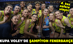 4. kez zafere ulaştı! Kupa Voley'de şampiyon Fenerbahçe
