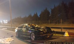 Pendik Kurtköy TEM Otoyolu’nda yolun karşısına geçmek isteyen 4 kişiye otomobil çarptı. Yolun karşısına geçmek isteyen aynı aileden 4 kişi ve otomobil sürücüsü hayatını kaybetti.