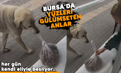Bursa'da her gün dükkana gelen köpeği besleyen esnaf yüzleri gülümsetti