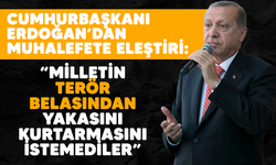 Cumhurbaşkanı Erdoğan'dan muhalefete eleştiri: Milletin terör belasından yakasını kurtarmasını istemediler"