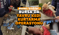 Bursa'da yavru kedi kurtarma operasyonu! Duvarı kırdılar