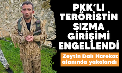 PKK'lı teröristin sızma girişimi engellendi: Zeytin Dalı Harekat alanında yakalandı