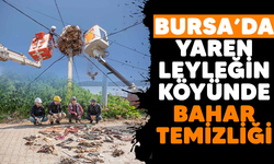 Bursa'da Yaren leyleğin köyünde bahar temizliği