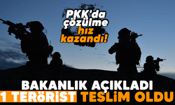 PKK'da çözülme hız kazandı! Bakanlık açıkladı: 1 terörist teslim oldu