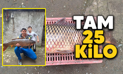 25 kiloluk sarı balık yakalandı