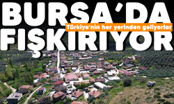 Bursa'da fışkırıyor! Türkiye'nin her yerinden geliyorlar