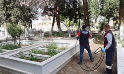 Yalova Belediyesi’nden mezarlıklarda temizlik çalışması