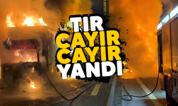 Tır cayır cayır yandı