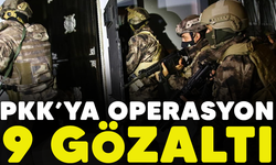 PKK'ya operasyon: 9 gözaltı