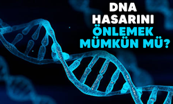 DNA hasarını önlemek mümkün mü?