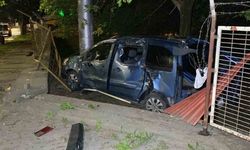 Kocaeli’de hafif ticari araç ağaca çarptı: 1 yaralı