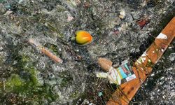 Sarıyer’de deniz kirliliği vatandaşları isyan ettirdi: “Kıyıya vuran çöpler Sarıyer’in en büyük sorunlarından bir tanesi”
