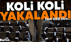 Koli koli yakalandı! Tam 500 litre