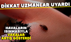 Dikkat! Uzmanlar uyardı: Havaların ısınmasıyla vakalar artış gösterdi