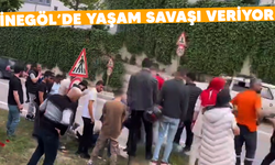 İnegöl'de yaşam mücadelesi veriyor