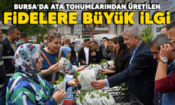 Bursa'da ata tohumlarından üretilen fidelere büyük ilgi