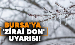 Bursa'ya 'zirai don' uyarısı!