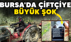 Bursa'da çiftçiye büyük şok